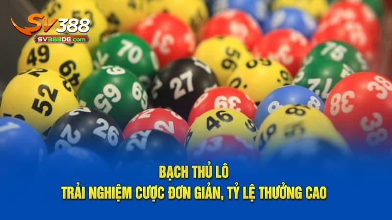 Khám phá đặc điểm nổi bật của bạch thủ lô Khám phá đặc điểm nổi bật của bạch thủ lô