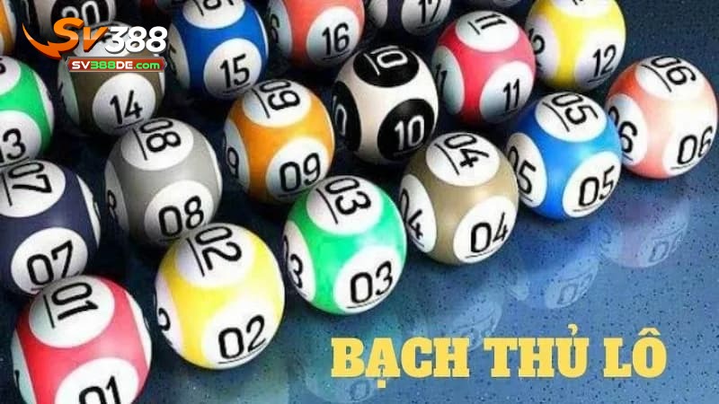 Bạch thủ lô là gì? Bạch thủ lô là gì?