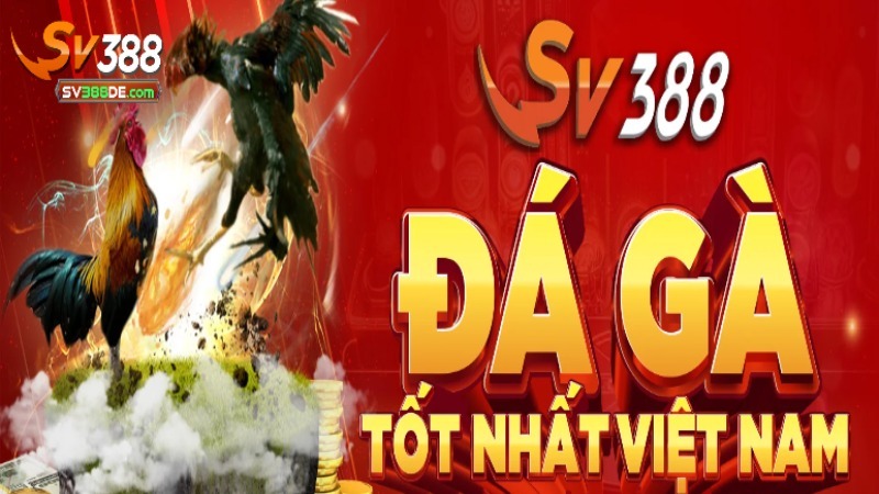 Các sảnh cược giải trí hot tại nền tảng SV388 Các sảnh cược giải trí hot tại nền tảng SV388