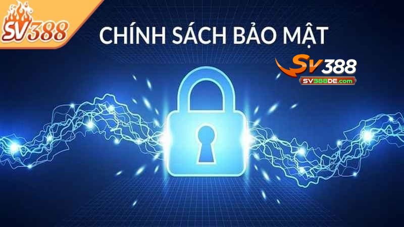 Loại dữ liệu được tổng hợp và cách Sv388 sử dụng chúng Loại dữ liệu được tổng hợp và cách Sv388 sử dụng chúng