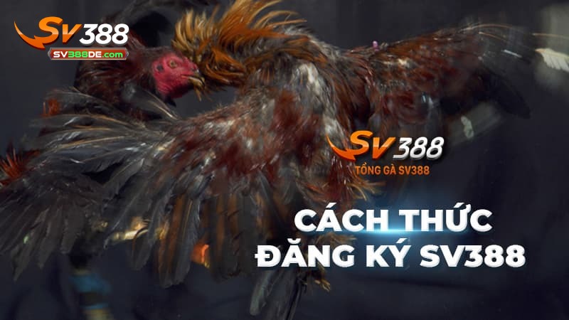 Chia sẻ các bước đăng ký SV388 nhanh cho người mới Chia sẻ các bước đăng ký SV388 nhanh cho người mới