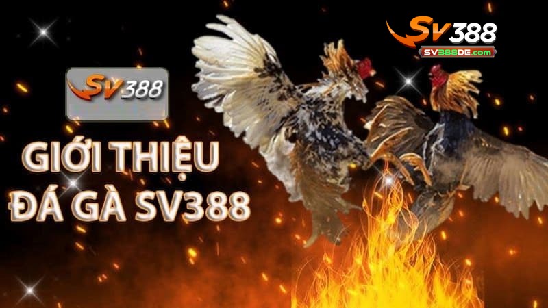 Giới thiệu SV388 với kho sảnh game cá cược giải trí Giới thiệu SV388 với kho sảnh game cá cược giải trí