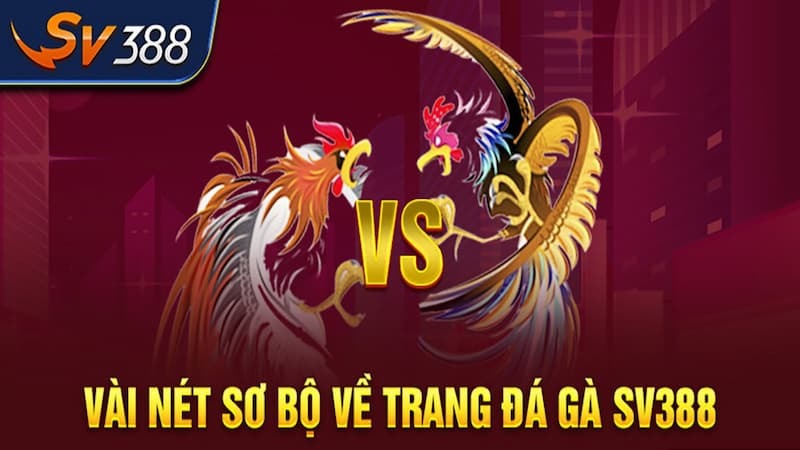 Khái quát tổng quan về địa chỉ cá cược SV388 Khái quát tổng quan về địa chỉ cá cược SV388