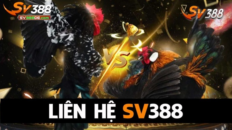 Liên lạc với SV388 qua các phương thức nào? Liên lạc với SV388 qua các phương thức nào?