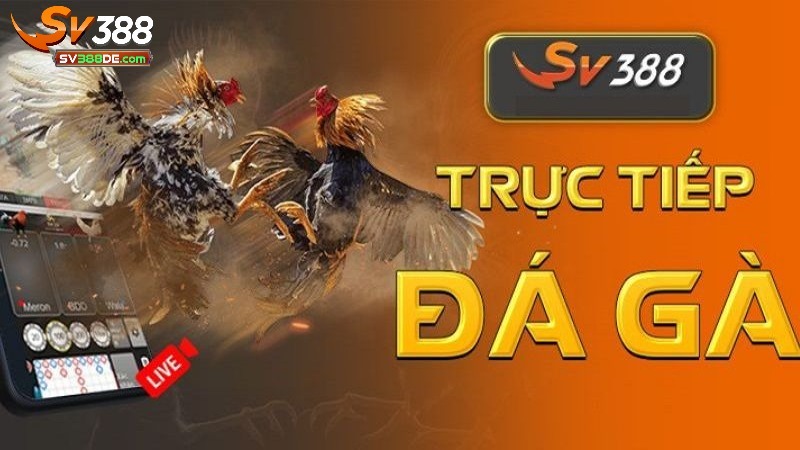 Những ưu điểm để chọn cá cược nhà cái Những ưu điểm để chọn cá cược nhà cái