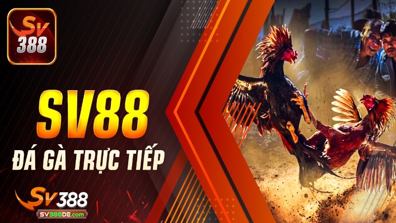 So sánh giữa SV388 với các nhà cái khác So sánh giữa SV388 với các nhà cái khác