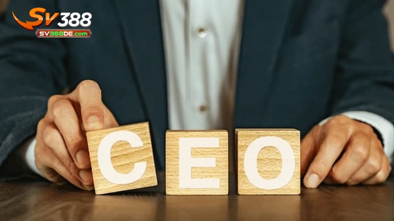 Phong cách lãnh đạo và những sáng tạo trong quản lý của CEO Phong cách lãnh đạo và những sáng tạo trong quản lý của CEO