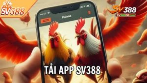Tổng quan về app SV388